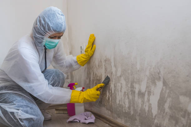 Best Crawl Space Mold Remediation in Pass Christian, MS