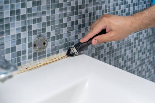 Professional Mold Remediation in Pass Christian, MS