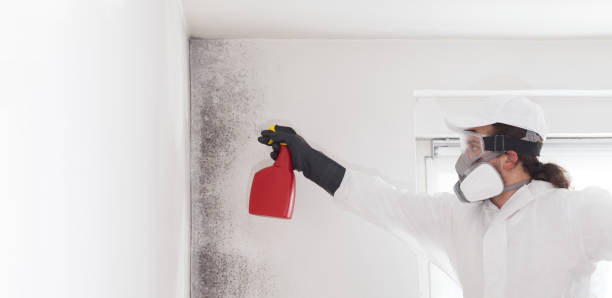 Best Commercial Mold Remediation in Pass Christian, MS